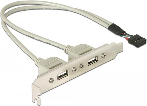  Bracket DELOCK, 2x USB 2.0-A (Ž)