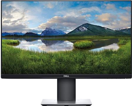 Dell Flat Panel 24" P2421, 16:10 1920x1200