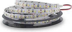 EcoVision LED traka 5m, 2835 SMD, 120LED/m, 14.4W/m, 24V DC, 4000K