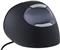 Evoluent VerticalMouse D Small - mouse - USB