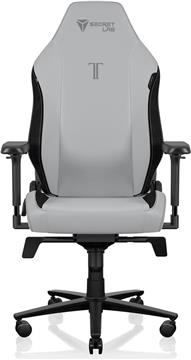 Stolica SecretLab Titan Evo, Regular, NEO Hybrid Leatherette, Ash