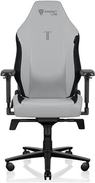 Stolica SecretLab Titan Evo, Small, NEO Hybrid Leatherette, Ash