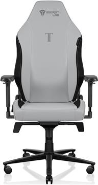 Stolica SecretLab Titan Evo, XL, NEO Hybrid Leatherette, Ash