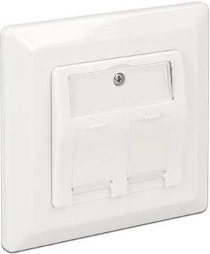 DeLOCK Keystone Wall Outlet - surface mount outlet