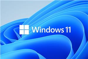 MICROSOFT Windows 11 Pro, 64-bit, Engleski, OEM, DVD, FQC-10528