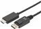 ASSMANN video / audio cable - DisplayPort / HDMI - 3 m