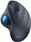 Logitech Wireless Trackball M570 - trackball - 2.4 GHz