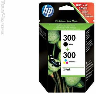 HP 300 - 2-pack - black, dye-based tricolor - original - ink cartridge