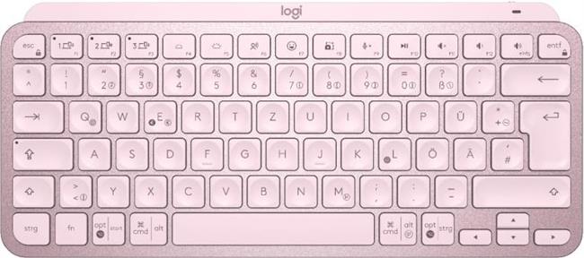 Logitech MX Keys Mini, rozi