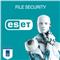 ESET File Security for Microsoft Windows Server - subscription license (2 years) - 1 user