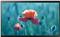 Samsung QB24R-T QBR-T Series - 24 LED display - Full HD