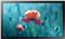 Samsung QB13R-T QBR Series - 13 LED-backlit LCD display - Full HD