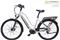 MS ENERGY eBike c100