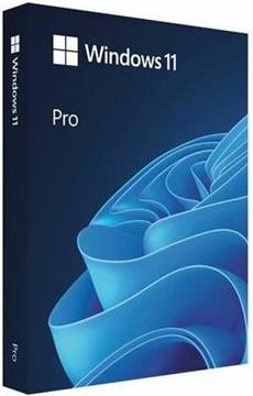 FPP Windows 11 Pro 64-bit Cro USB, HAV-00141