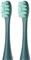 Oclean Standard two attachments for an electric toothbrush green