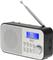 Camry digital portable radio