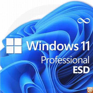 Microsoft Windows 11 Pro 64 Bit - 1 PC - ESD-Download ESD, FQC-10572