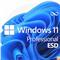 Microsoft Windows 11 Pro 64 Bit - 1 PC - ESD-Download ESD, FQC-10572
