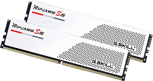 G.Skill Ripjaws S5 - DDR5 - kit - 32 GB: 2 x 16 GB - DIMM 288-pin - 5600 MHz / PC5-44800 - unbuffered