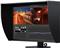 EIZO ColorEdge CG319X 