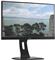 Dis 24 IIyama PL XUB2492HSU-W5 IPS