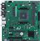 ASUS Pro A520M-C II/CSM - motherboard - micro ATX - Socket AM4 - AMD A520