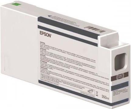 EPSON Singlepack Light Black T54X700