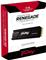 Kingston Fury Renegade M.2 Pci-e 4.0 NVMe 4TB heatsink