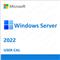 OEM Windows Server 2022 CAL 10 User