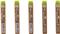 Mine 0,5mm HB 1tuba Pilot PPL-5-HB