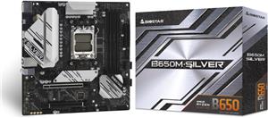 Biostar B650M-Silver (B650,AM5,mATX,DDR5)