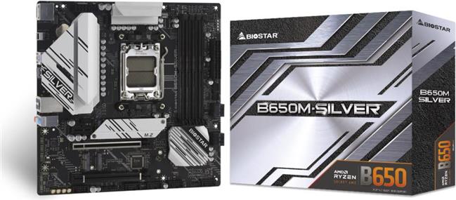 Biostar B650M-Silver (B650,AM5,mATX,DDR5)