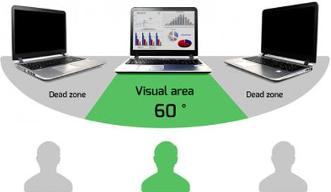 Professional Privacy Filter 2D 14"