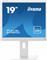 IIYAMA 48.0cm (19") B1980D-W5 5:4 VGA+DVI Lift white retail