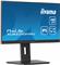 iiyama ProLite XUB2293HSU-B6 - LED monitor - Full HD (1080p) - 22