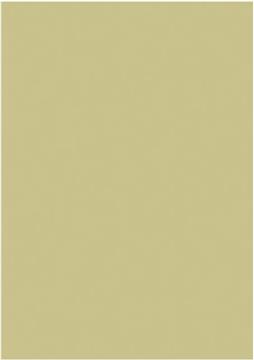 Papir u boji A4 130g pk100 Heyda 20-47116 94 zlatni