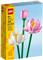 LEGO 40647 Lotus cvjetovi