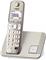 Panasonic DECT telephone KX-TGE 210 PDN champagne gold