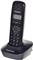 Panasonic KX-TG1611 telephone DECT telephone Black Caller ID