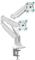 ONKRON Dual Monitor Desk Mount Stand for 13 to 32-Inch LCD LED Monitors up to 9 kg, White