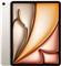 Apple iPad Air 13 Wi-Fi 256GB (polarstern) 6.Gen