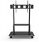 Techly ICA-TR31 signage display mount 3.05 m (120") Black