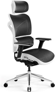 Diablo V-COMMANDER Office armchair Black, White