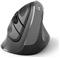 Mouse Ewent Wireless Ergonomic Vertical, 2400dpi, Black, USB