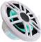 Zvučnici Sony XS-FL77SPGW 7.7" XS Series LED Sports, sivi i bijeli, 010-02197-20