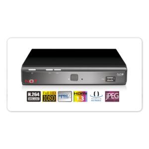LifeView LV6TMPVR4 Not Only TV DVB-T STB MPEG4 HD, MPEG2 MPEG4 H264 decoding, Record DVB-T prog