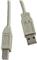 USB kabel 3m, AM - BM, Roline, bež