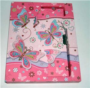 Dnevnik s ključićem u kutiji leptir