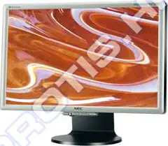 Monitor NEC MultiSync 20