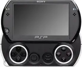 SONY PSP Go!